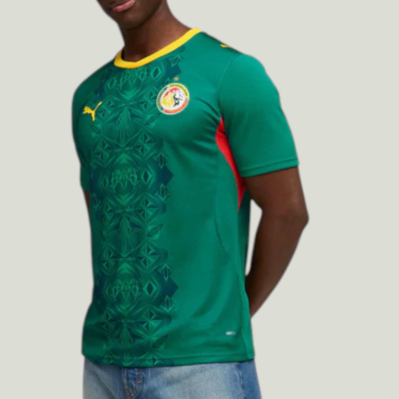 Senegal 2026 Away Jersey